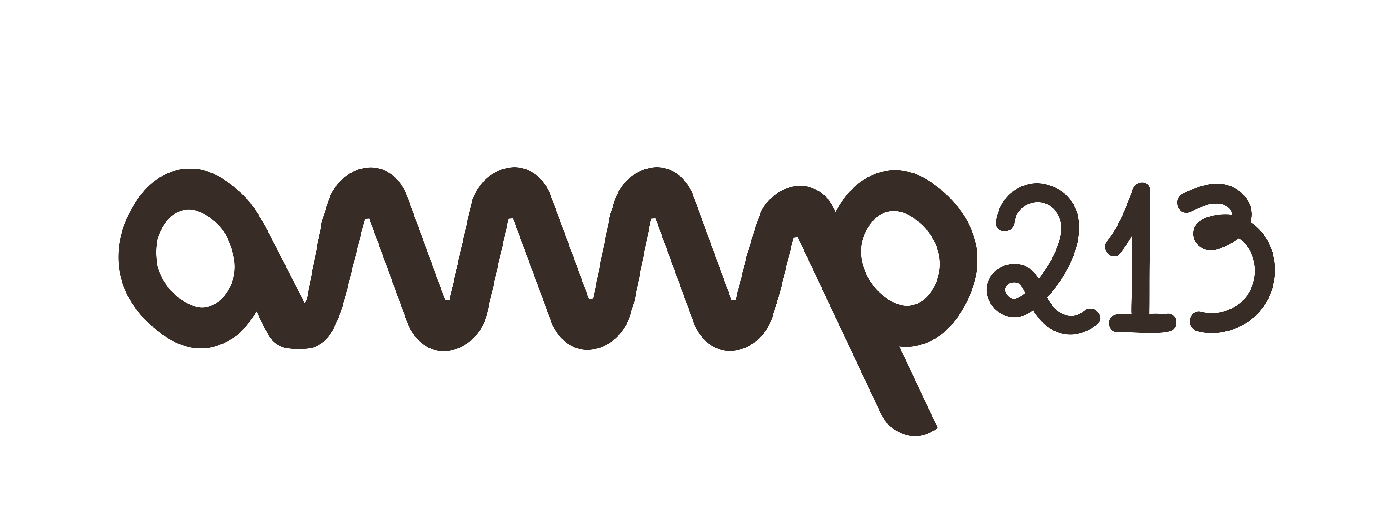 AMP 213